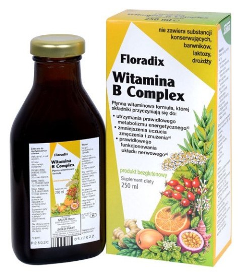 WITAMINA B COMPLEX W PŁYNIE BEZGLUTENOWA 250 ml - SALUS (FLORADIX) WITAMINA B COMPLEX W PŁYNIE BEZGLUTENOWA 250 ml - SALUS (FLORADIX)