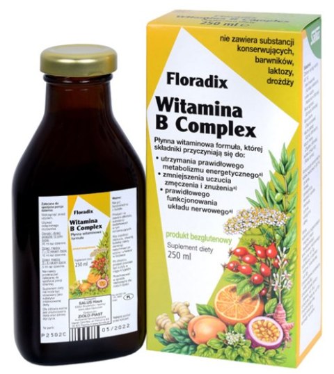 WITAMINA B COMPLEX W PŁYNIE BEZGLUTENOWA 250 ml - SALUS (FLORADIX) WITAMINA B COMPLEX W PŁYNIE BEZGLUTENOWA 250 ml - SALUS (FLORADIX)