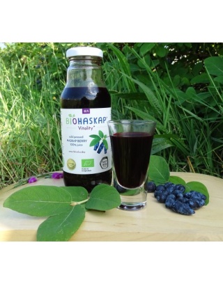 1 x Sok BIO certyfikowany z jagody kamczackiej BIOHASKAP Vitality +. Źródło potasu. Best New Product BIOFACH 2019
